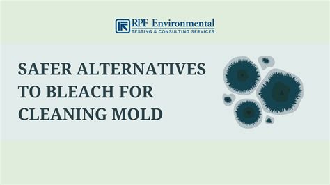 Proper Mold Remediation Does Bleach Kill Mold Should You Use It