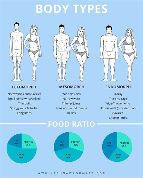 Body Types Ectomorph Mesomorph Endomorph