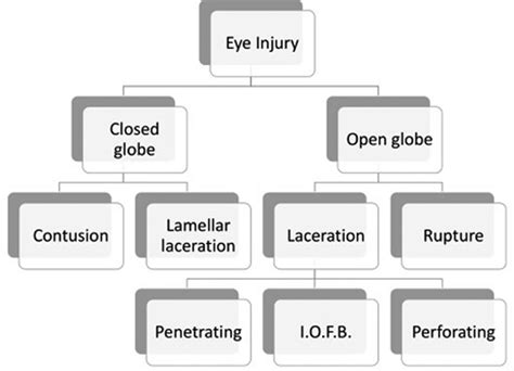 Adapted From Birmingham Eye Trauma Terminology System Present