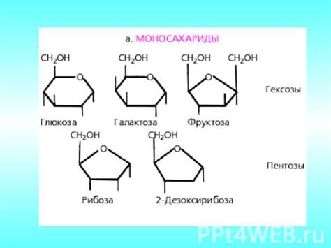 Презентация на тему "Углеводы" - скачать бесплатно презентации по Биологии