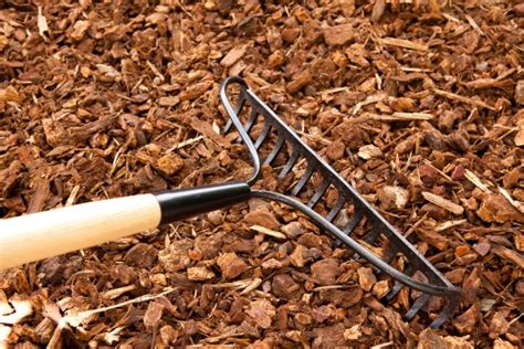 Mulch Rake Plantscapers