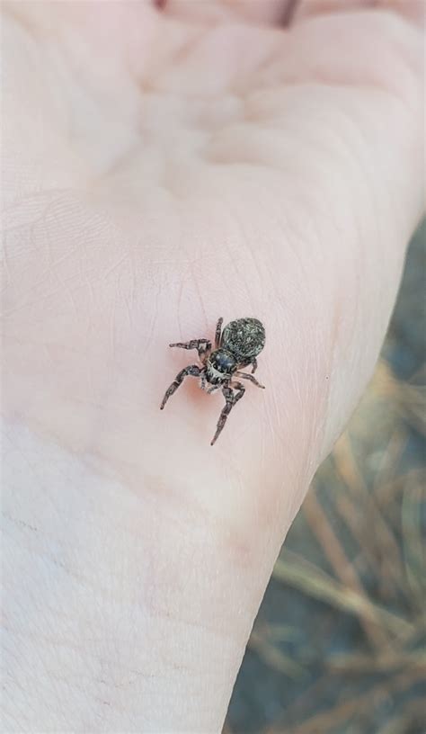 This Cutie Came To Hang Out With Me During Lunch Break South Of France