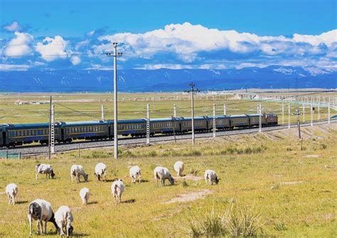 Beijing To Lhasa Train Schedule Cost Travel Tips