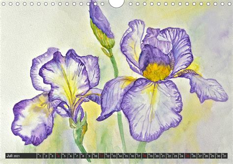 Calvendo Kalender Blumenbilder In Aquarell