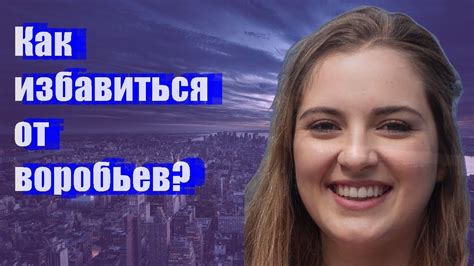 Как избавиться от воробьев? - YouTube