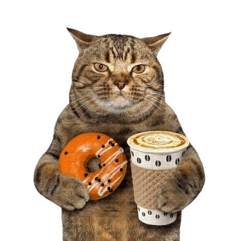 кот с пончиком - бесплатно png - PicMix