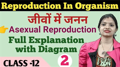 Reproduction In Organisms जीवों मे जनन Types Of Asexual Reproduction