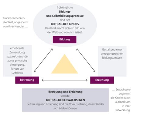 Fr Hkindliche Bildungs Und Entwicklungsprozess Flashcards Quizlet