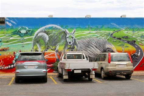 Car Parking And Wildlife Wall Painting Alice Springs Australia