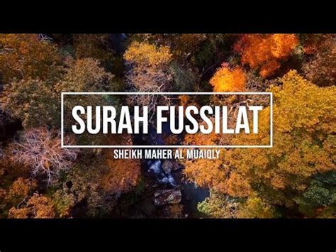 041 SURAH FUSSILAT SHEIKH MAHER AL MUAIQLY YouTube