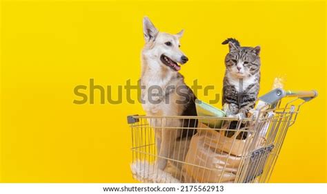 774 Happy Cat Cart Images, Stock Photos & Vectors | Shutterstock