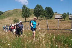 Sibiu Hiking Tour to Local Sheepfold - Romanian Friend