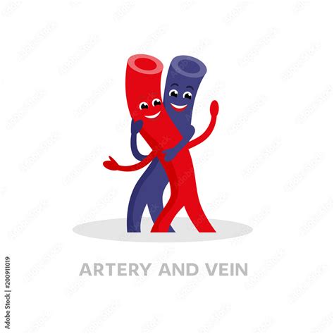 Blood Vessels Cartoon