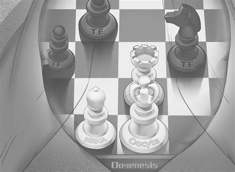 chess  light zz lab  duke