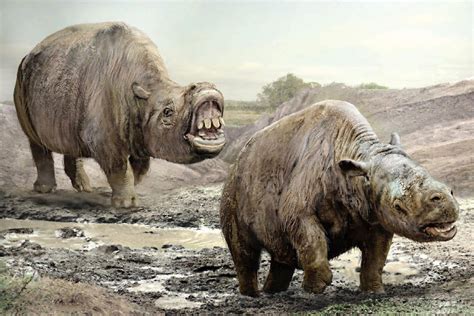 Toxodon