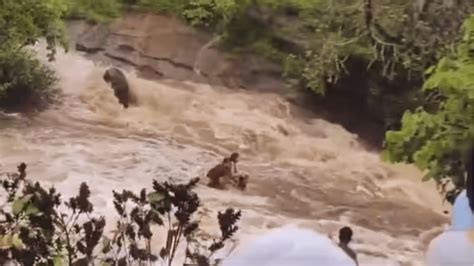 Tragic Drowning Incident At Lonavalas Bhushi Dam India 4 Lives Lost