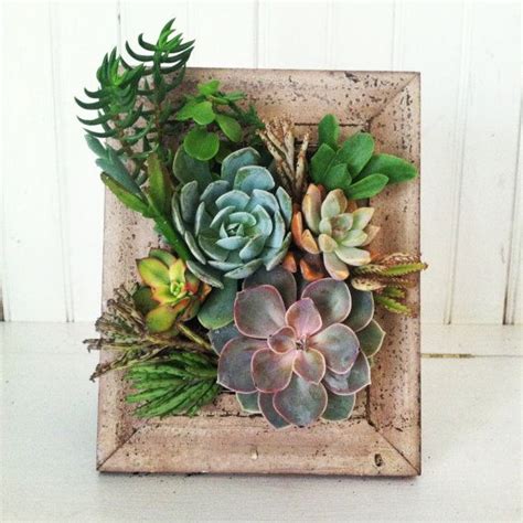 Vertical Succulent Planter By Verticalflora On Etsy Vertikale