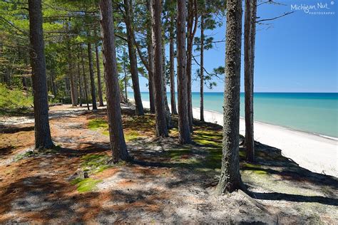 Camping On Beach Lake Superior - camping fire cook