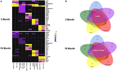 Frontiers Single Cell Transcriptional Profiling Reveals Sex And Age