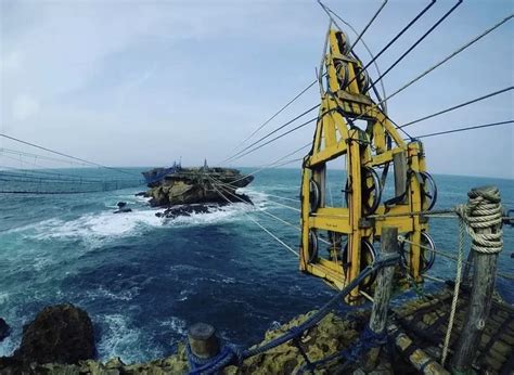 Wisata Ke Pantai Timang Jogja Rasakan Sensasi Naik Gondola Kayu Yang