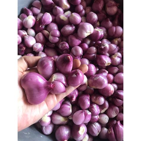 Jual Bawang Merah Kupas Super 1kg Shopee Indonesia