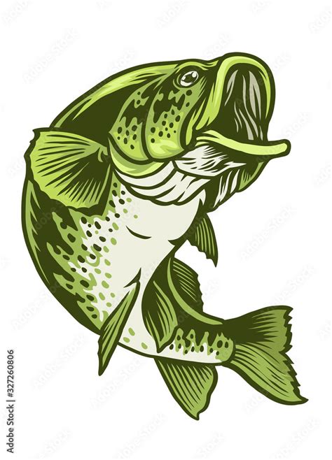 Largemouth Bass Vector