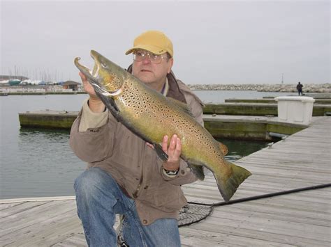 Fishing Crank Baits For Trophy Great Lakes Brown Trout