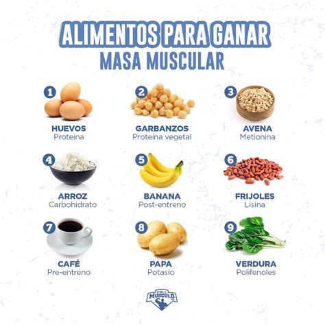 21 Alimentos Para Aumentar Masa Muscular FullMusculo