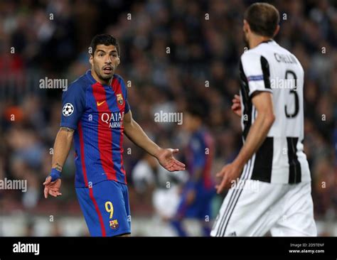 Barcelona's Luis Suarez (left) exchanges words with Juventus' Giorgio ...