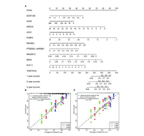 Prognostic Nomogram Based On Hub RBPs And Calibration Plots A