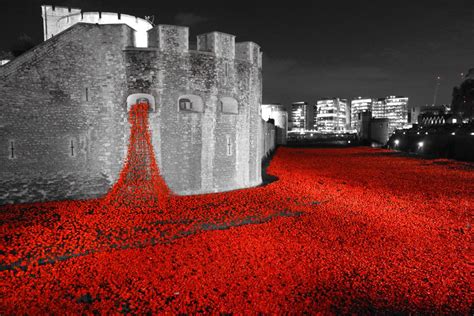 Tower of London Poppies installation 2014 Limited edition print