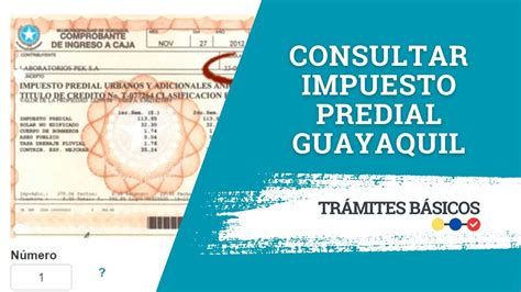 Consulta De Impuesto Predial Guayaquil YouTube