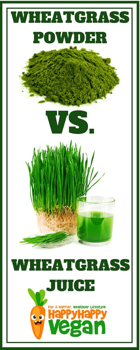 Best Wheatgrass Powder Organic Supplement Reviews 2020 Happy Happy Vegan