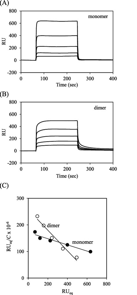 SPR Analysis Of Grb2 SH2 Monomer And Dimer A Typical Sensorgrams For