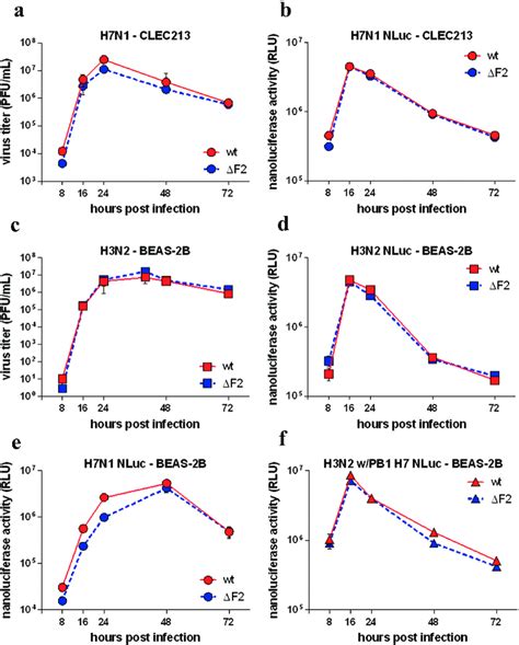 In Vitro Replication Kinetics Comparisons Monolayers Of Clec And