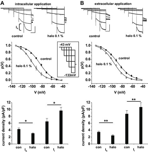 Halothane Effect On Hyperpolarization Activated Inward Currents In Tc