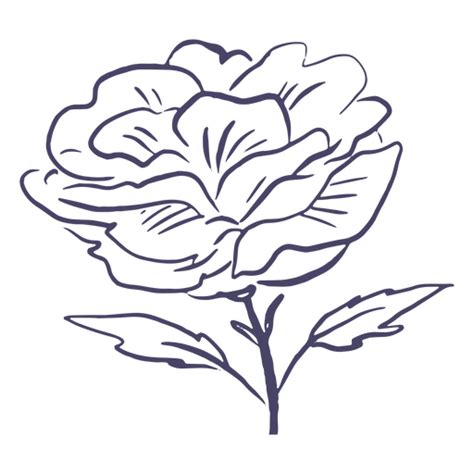 Beautiful Flower Hand Drawn Png Svg Design For T Shirts