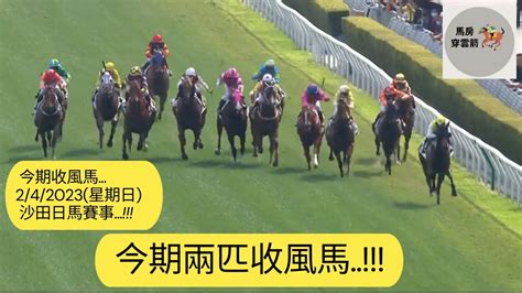 今期收風馬今期兩匹收風馬242023 星期日 沙田日馬賽事 香港賽馬 賽馬 賽馬貼士 Youtube