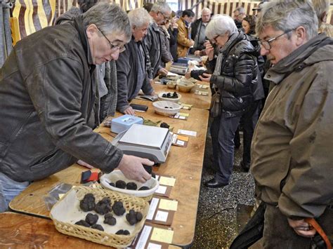 La truffe du Périgord Dordogne Périgord Tourisme