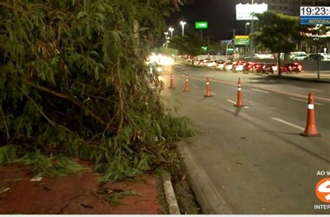 Árvore cai e interdita pista na avenida Dom Aguirre TV Sorocaba SBT