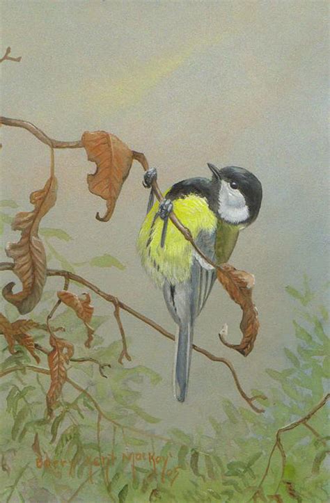 Great Tit Painting By Barry Kent MacKay Fine Art America