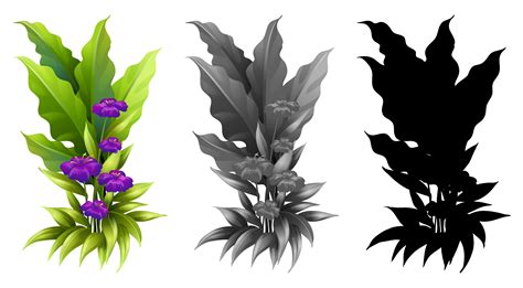 Set Of Flower Plant 418039 Vector Art At Vecteezy