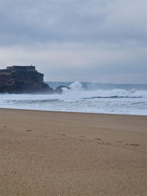 Porto nach Lissabon mit Aveiro Coimbra Fátima Nazaré Óbidos GetYourGuide