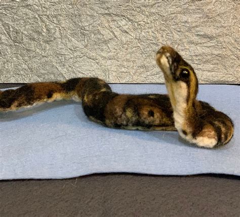 Needle Felted Snake Ball Python Etsy