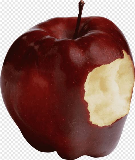 Manzana Manzana Mordida Comida Pegatina Fruta Png Pngwing