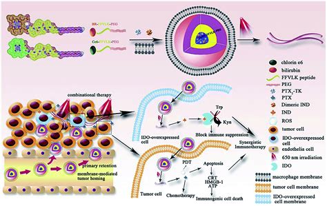 Recent Advances In Redox Responsive Nanoparticles For Combined Cancer