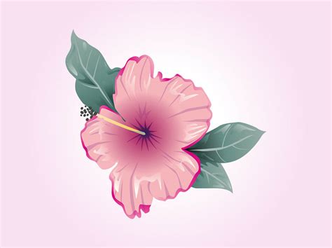 Hibiscus Vector Vector Art And Graphics