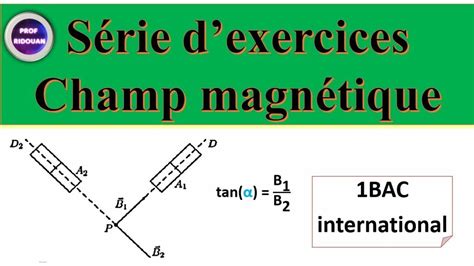 Série d exercices le champ magnétique 1 Bac sciences expérimentales et