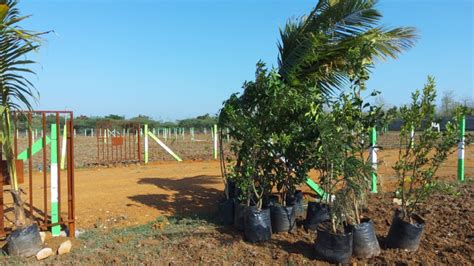 Agricultural Land Sq Ft For Sale In Vengal Chennai Rei