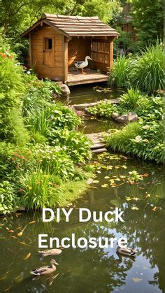 Eco-Friendly DIY Duck Enclosure Ideas: Sustainable Practices in 2024 ...